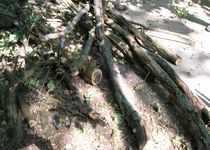 gallyazás